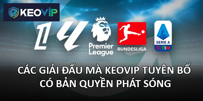 Trang web tuyên bố sở hữu bản quyền phát sóng các giải đấu lớn