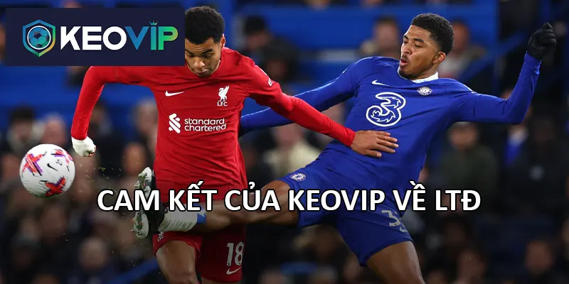 LTĐ tại Keovip được làm mới ngay sau khi có thông tin chính thức